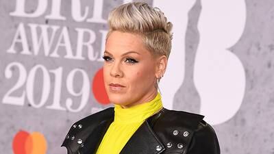 Pink declares hateful messages directed at her and her kids don't "move my needle"